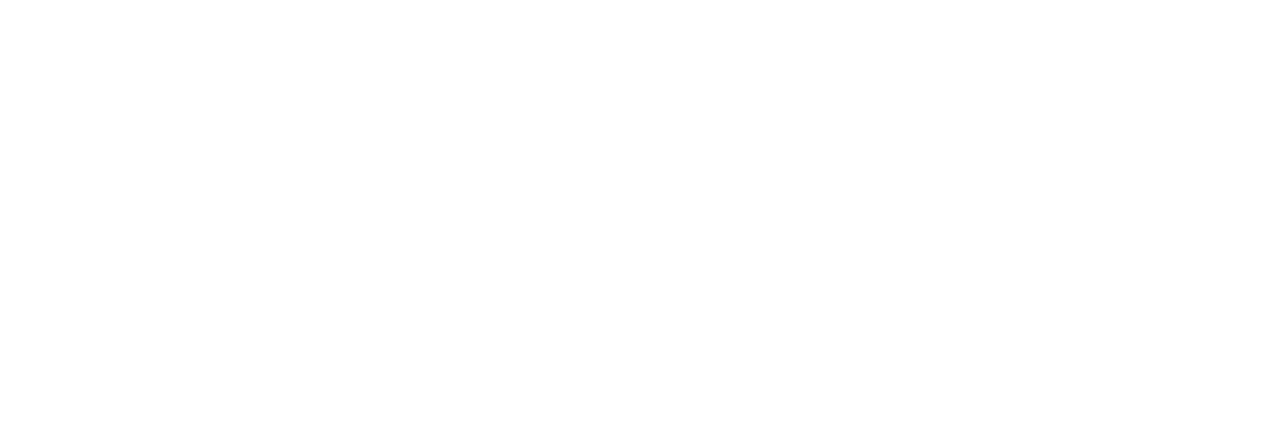 Sertera Conectividad Digital